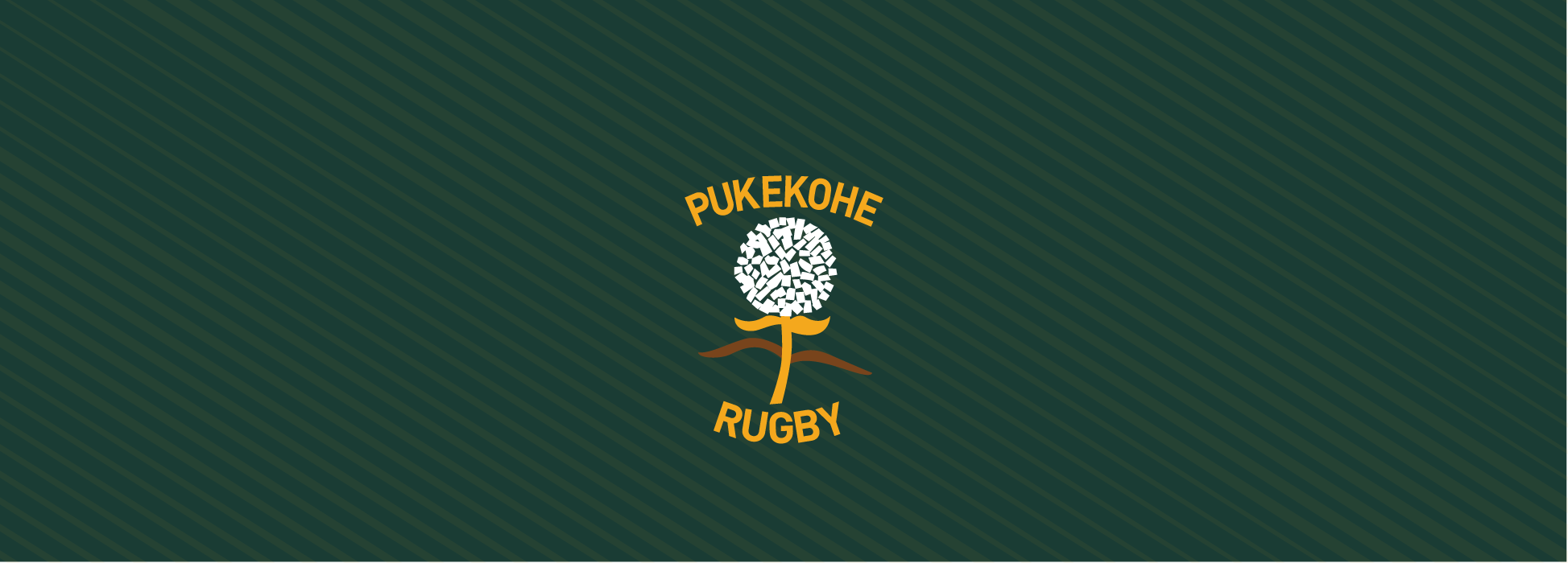 Pukekohe Rugby
