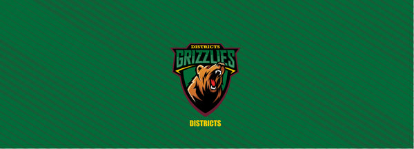 District O40's Cricket