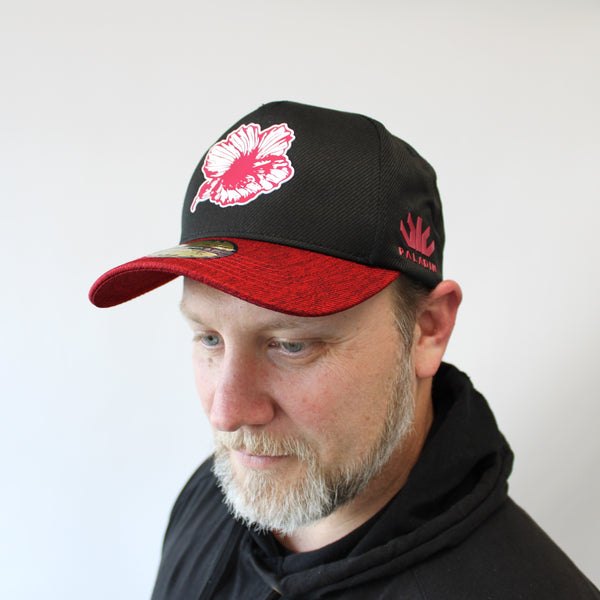 North Harbour Supporters Cap